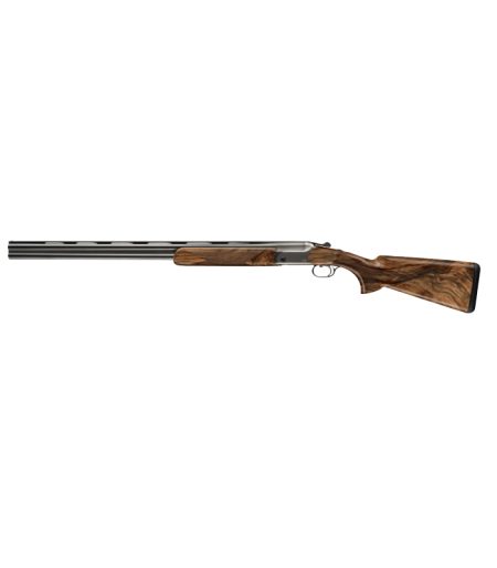 Blaser F16 Game